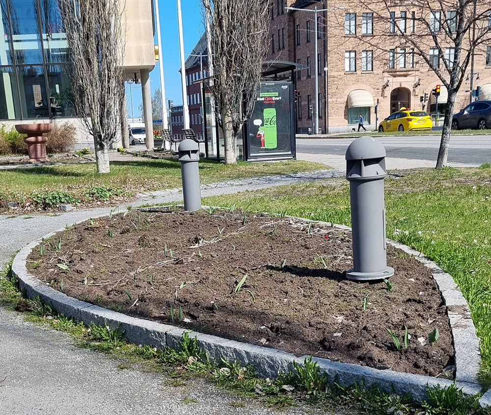 Den lilla planteringen utanför stadshuset får perenna blommor istället för sommarblommor