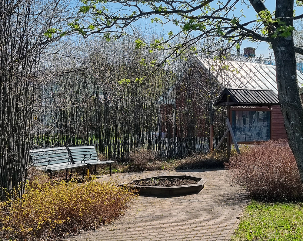Den lilla rabatten i Muralparken i Svartöstaden får perenna blommor istället för sommarblommor
