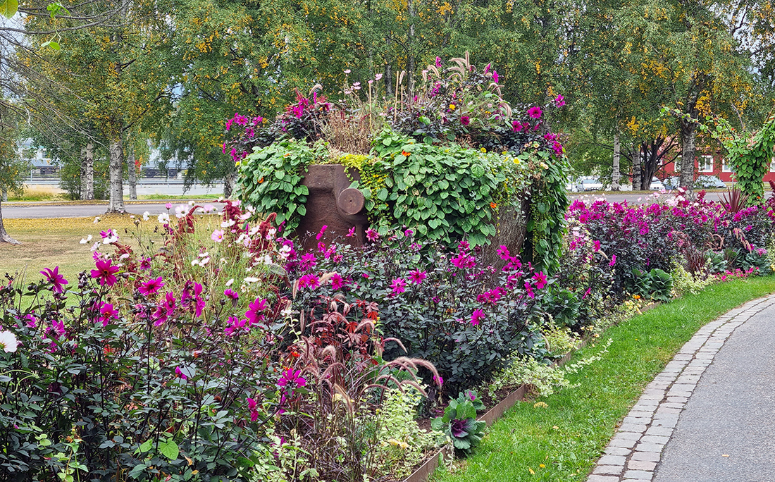 Bilden visar rabatten vid Floas Kulle. Vackra blommor i lila, cerica och ljusrosa nyanser. Med limegröna inslag.