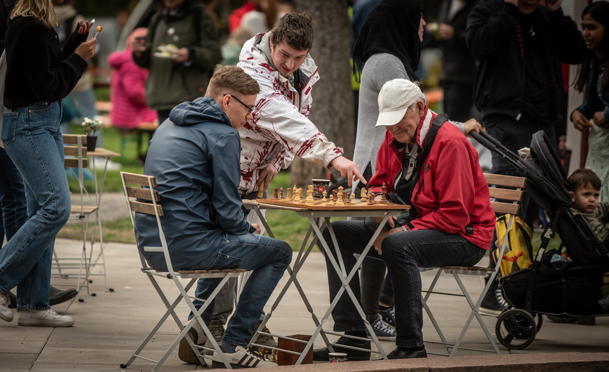 Aktiviteter i Stadsparken