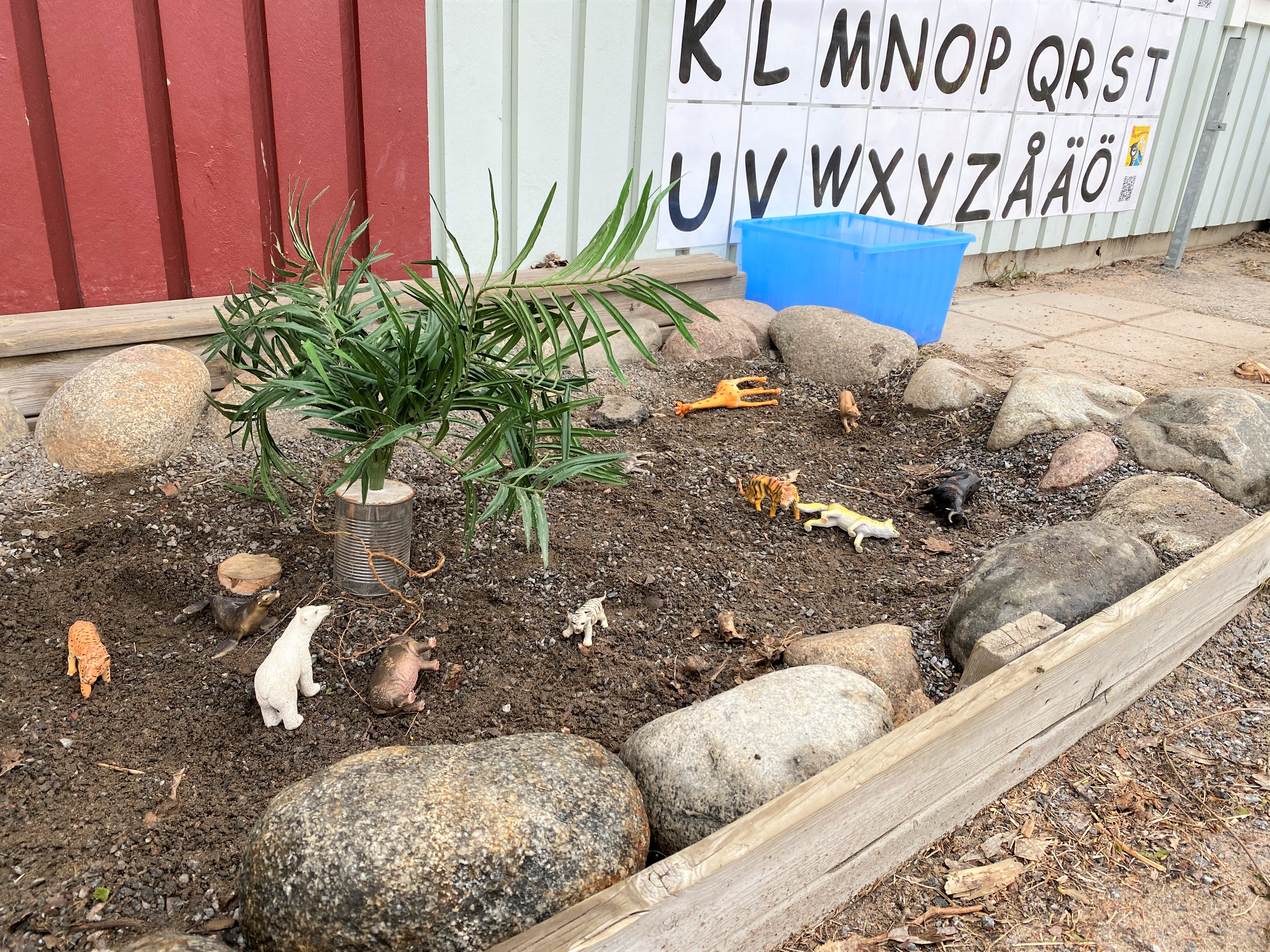 En djungel i en tidigare plantering.