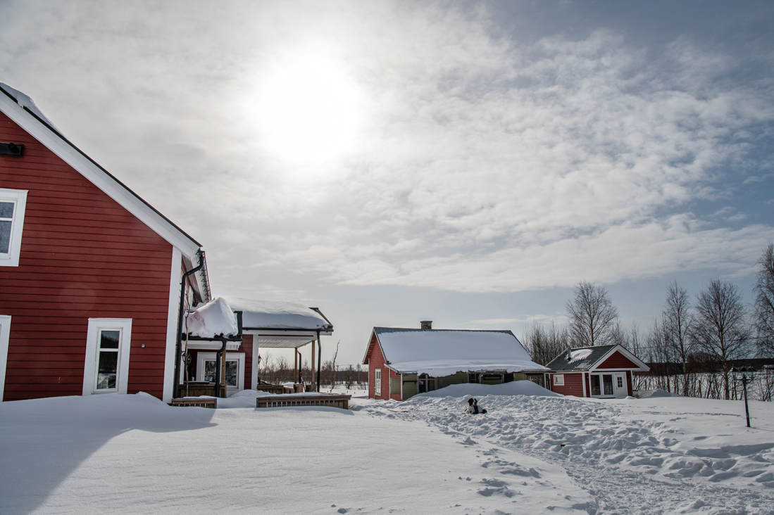 Hustomt med snö