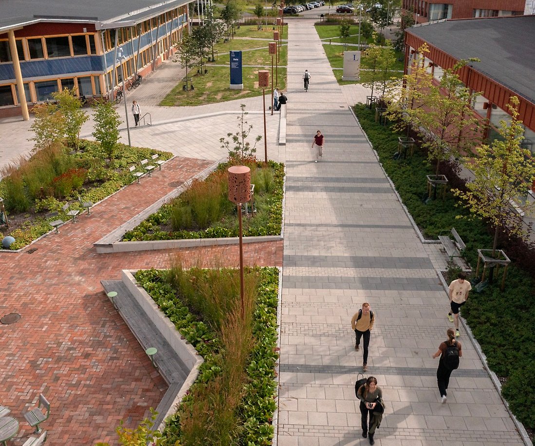 Vybild över universitetet