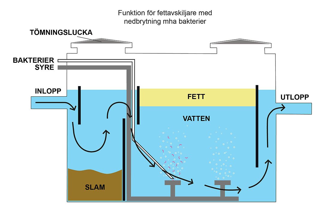 En schematisk bild över en fettavskiljare med installerad rening med hjälp av fettälskande bakterier.