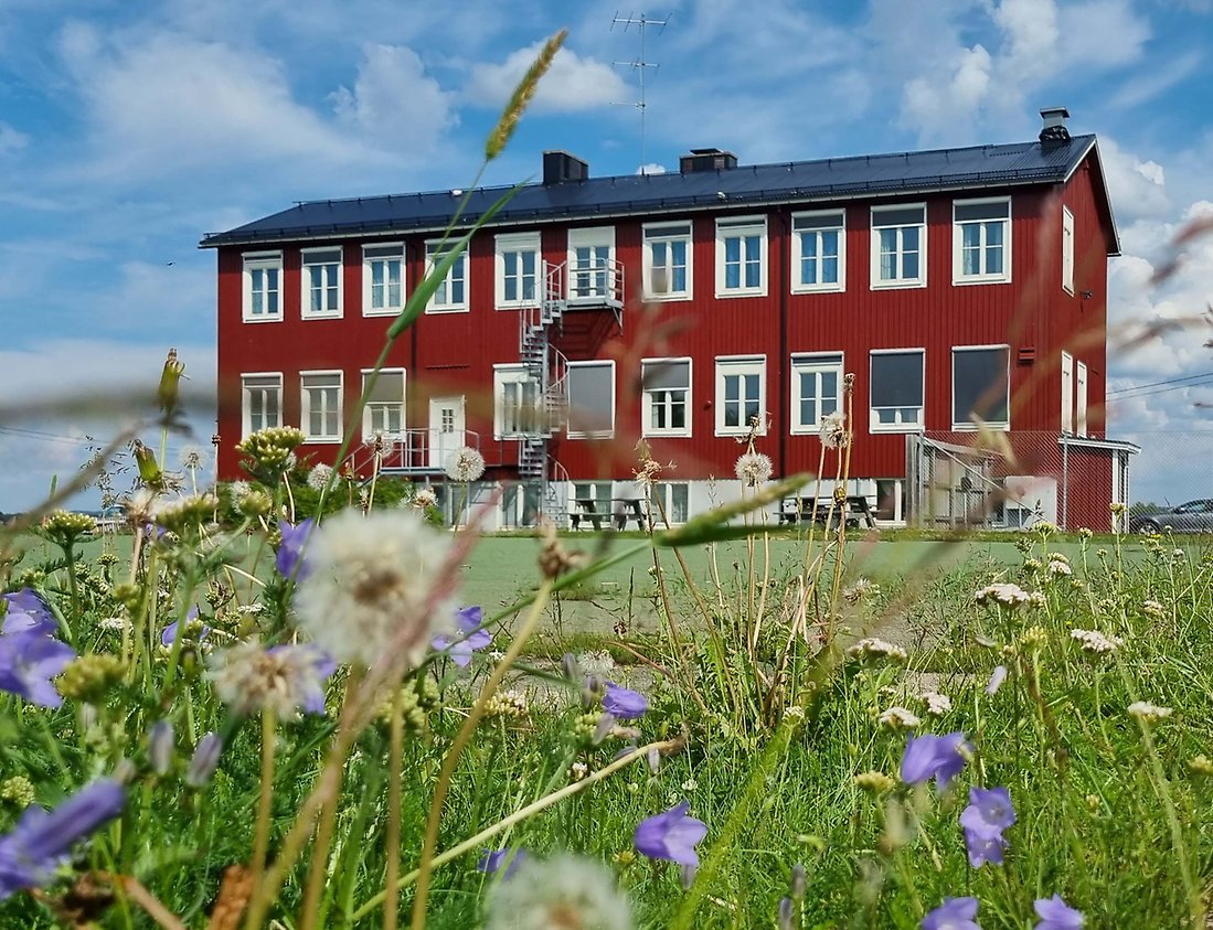 Unbyns skola i Boden kommun