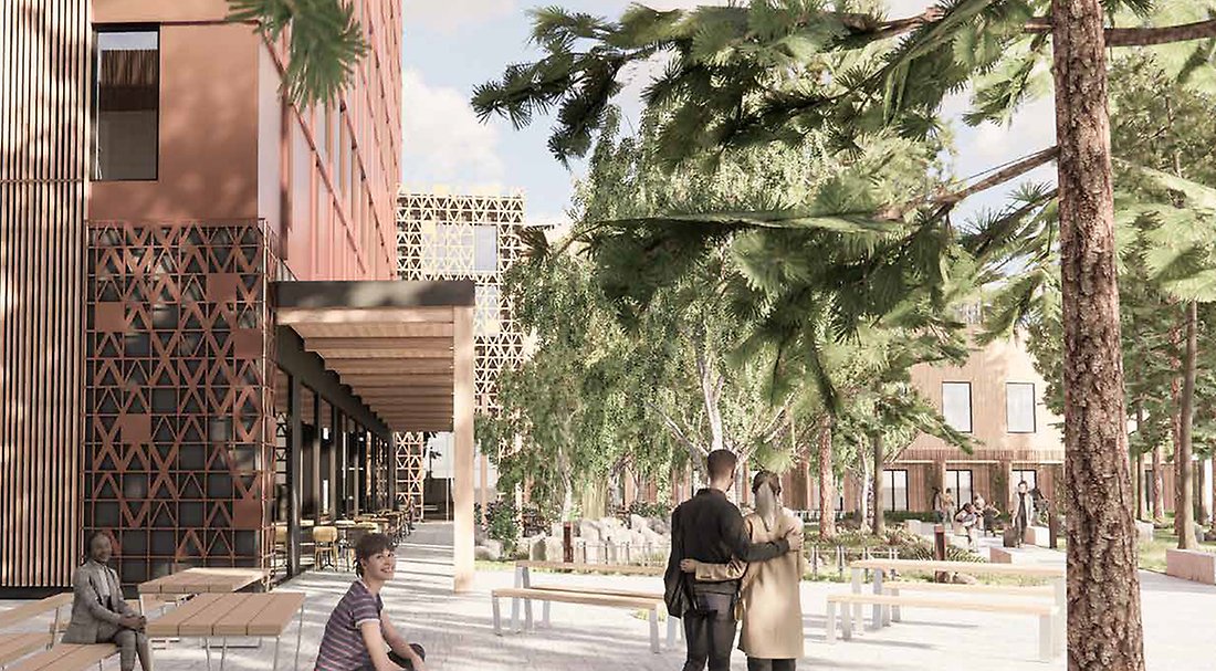 Illustrationsbild som visar innergården vid hotellet med bevarad stengärdesgård och gamla tallar.
