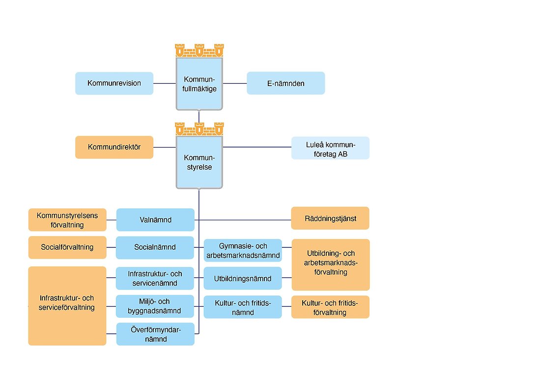 bild organiation